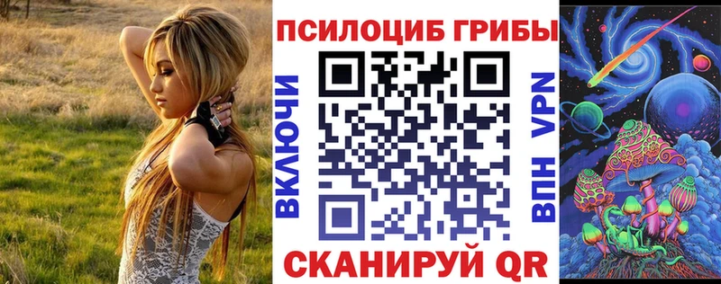 Псилоцибиновые грибы мицелий  Купить закладки  Холмск 